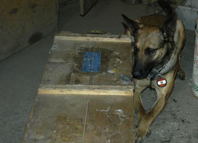 Bildgröße auf die Monitorauflösung (640x480 px) optimiert