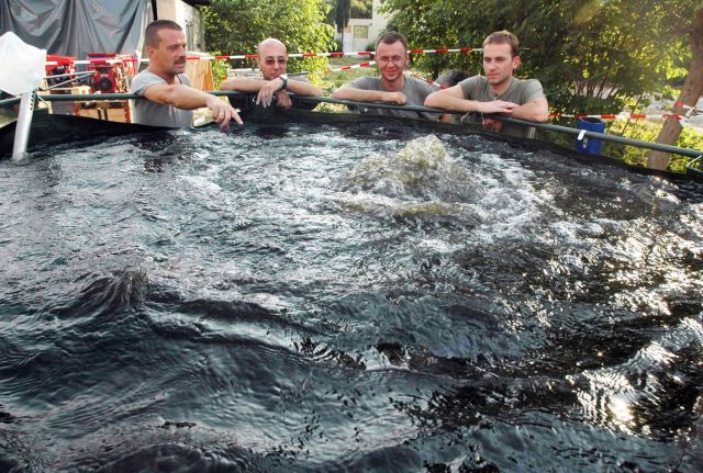 Bildgr&ouml;&szlig;e auf die Monitoraufl&ouml;sung (640x480 px) optimiert