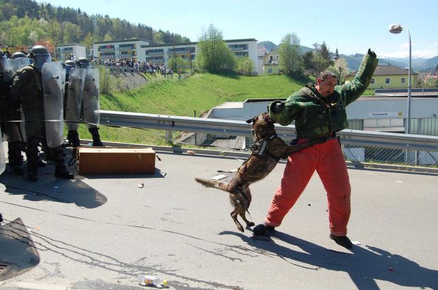 Bildgr&ouml;&szlig;e auf die Monitoraufl&ouml;sung (640x480 px) optimiert