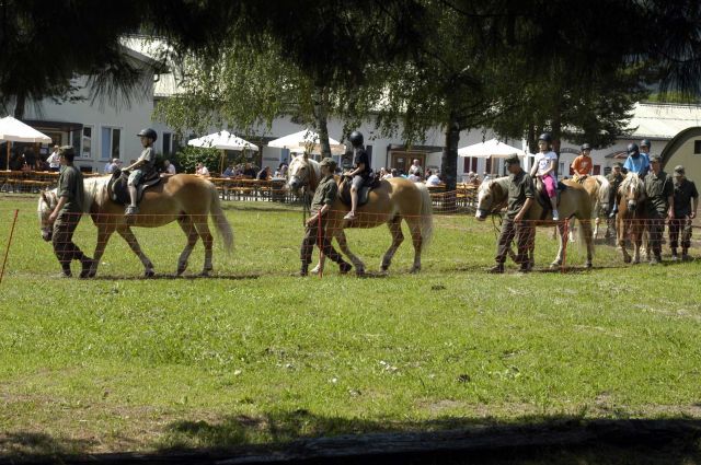 Bildgröße auf die Monitorauflösung (640x480 px) optimiert