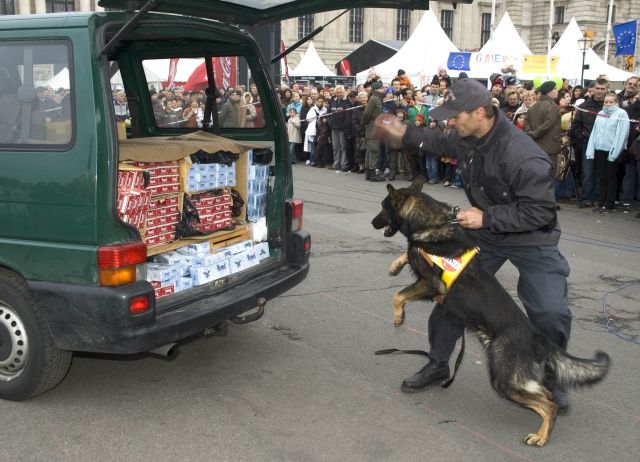 Bildgr&ouml;&szlig;e auf die Monitoraufl&ouml;sung (640x480 px) optimiert