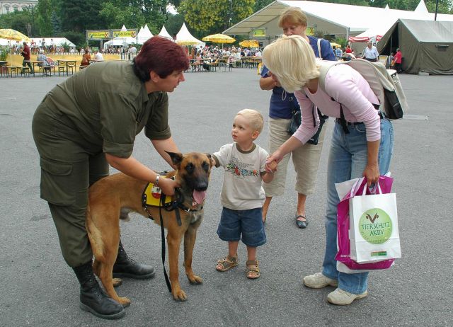 Bildgr&ouml;&szlig;e auf die Monitoraufl&ouml;sung (640x480 px) optimiert