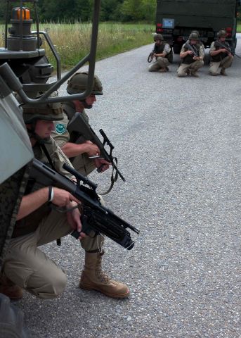 Bildgr&ouml;&szlig;e auf die Monitoraufl&ouml;sung (640x480 px) optimiert