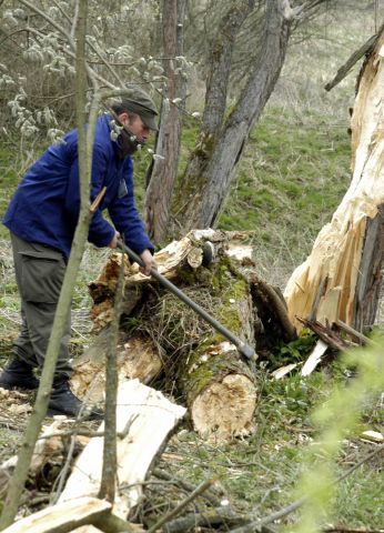 Bildgr&ouml;&szlig;e auf die Monitoraufl&ouml;sung (640x480 px) optimiert