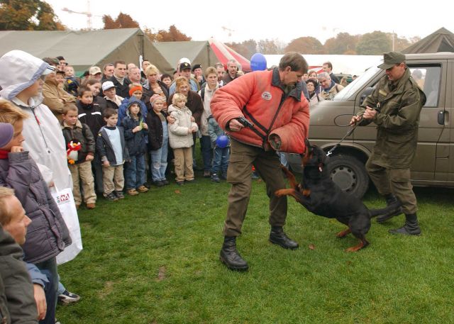 Bildgröße auf die Monitorauflösung (640x480 px) optimiert