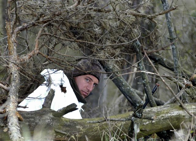 Bildgr&ouml;&szlig;e auf die Monitoraufl&ouml;sung (640x480 px) optimiert