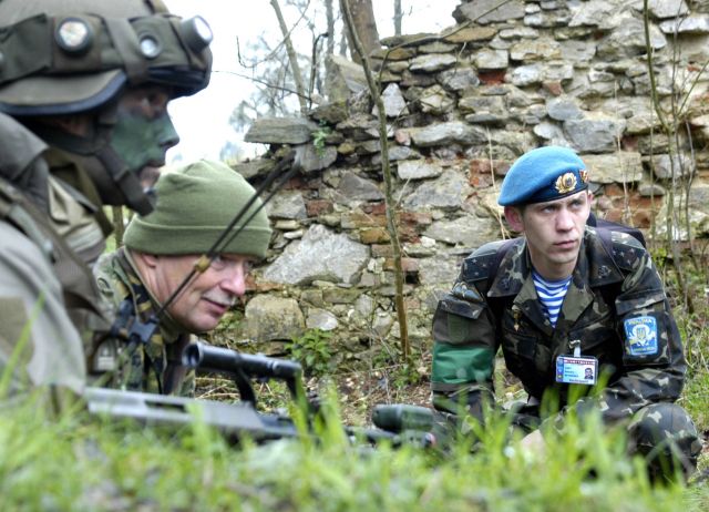 Bildgröße auf die Monitorauflösung (640x480 px) optimiert