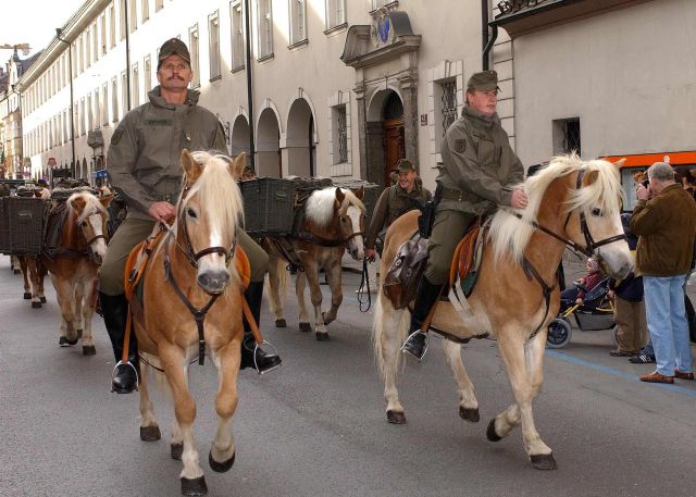 Bildgröße auf die Monitorauflösung (640x480 px) optimiert