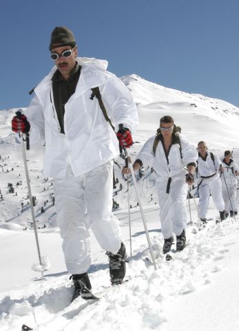 Bildgröße auf die Monitorauflösung (640x480 px) optimiert