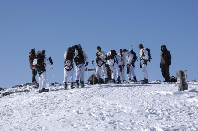 Bildgröße auf die Monitorauflösung (640x480 px) optimiert