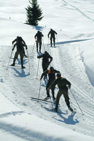 Bildgr&ouml;&szlig;e auf die Monitoraufl&ouml;sung (640x480 px) optimiert