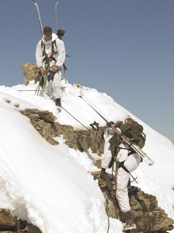 Bildgröße auf die Monitorauflösung (640x480 px) optimiert