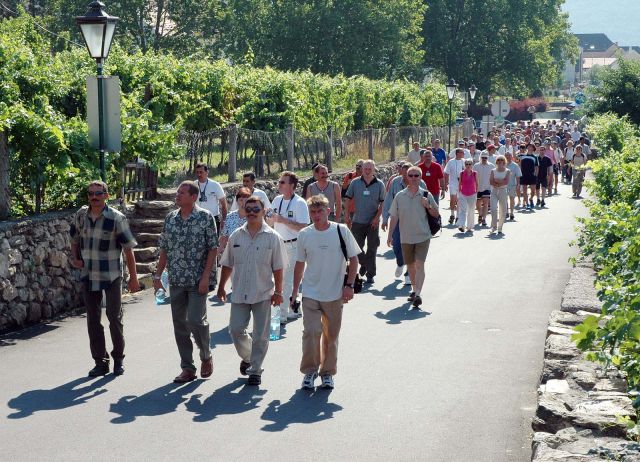 Bildgröße auf die Monitorauflösung (640x480 px) optimiert