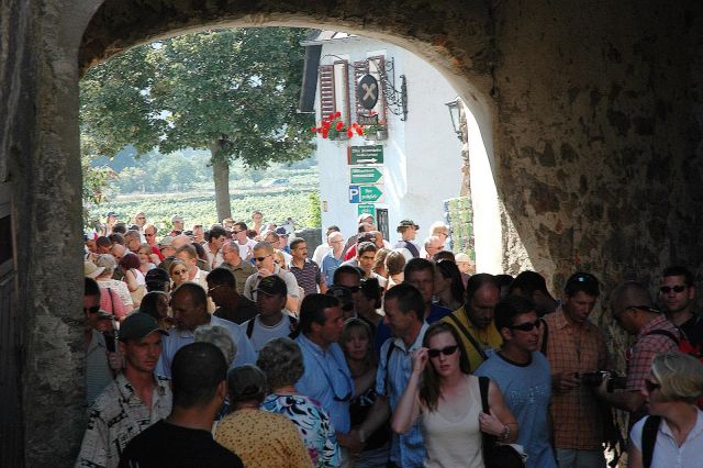 Bildgröße auf die Monitorauflösung (640x480 px) optimiert