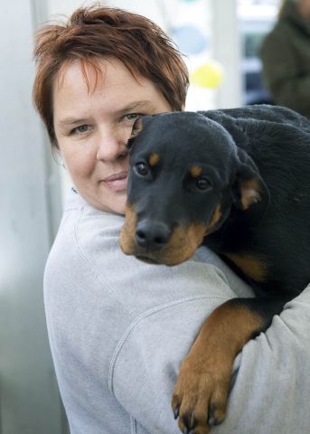 Bildgröße auf die Monitorauflösung (640x480 px) optimiert