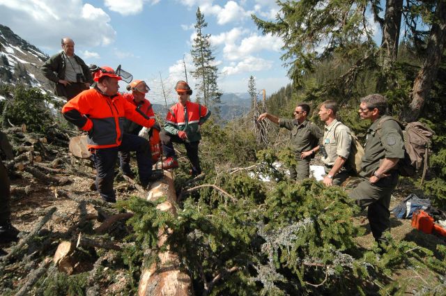 Bildgr&ouml;&szlig;e auf die Monitoraufl&ouml;sung (640x480 px) optimiert