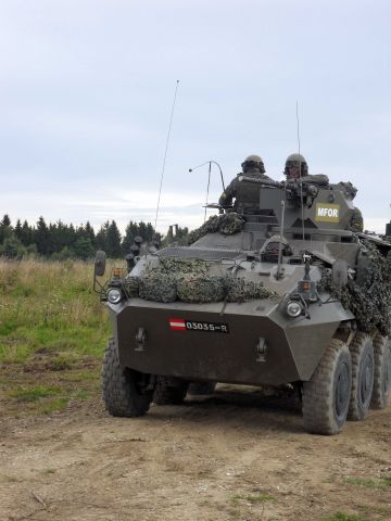 Bildgröße auf die Monitorauflösung (640x480 px) optimiert