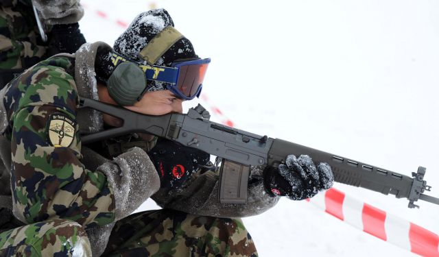 Bildgr&ouml;&szlig;e auf die Monitoraufl&ouml;sung (640x480 px) optimiert