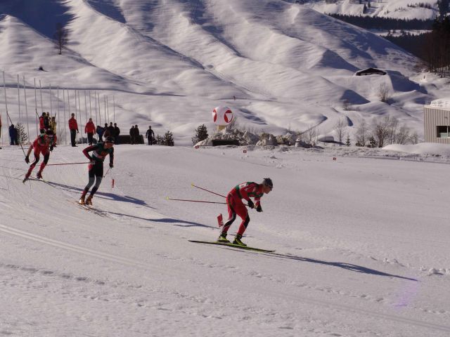 Bildgröße auf die Monitorauflösung (640x480 px) optimiert