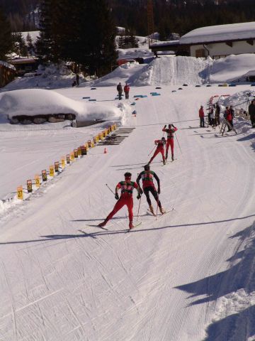 Bildgröße auf die Monitorauflösung (640x480 px) optimiert