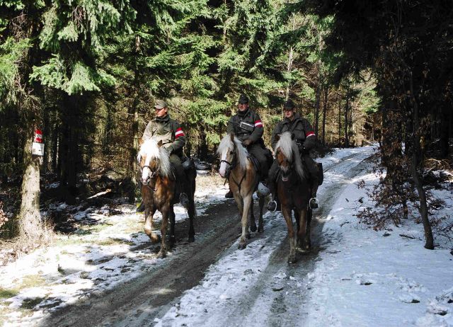 Bildgröße auf die Monitorauflösung (640x480 px) optimiert