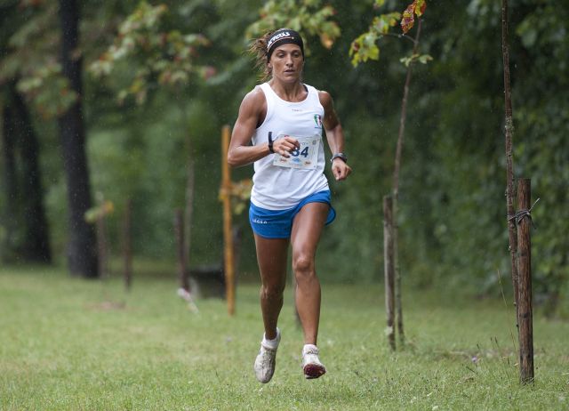 Bildgröße auf die Monitorauflösung (640x480 px) optimiert