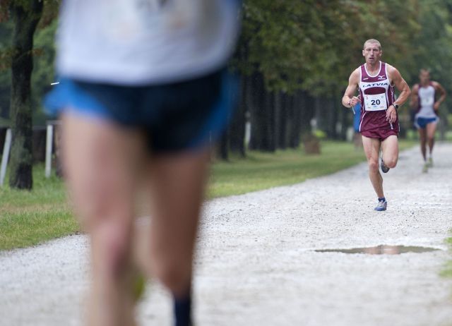 Bildgröße auf die Monitorauflösung (640x480 px) optimiert