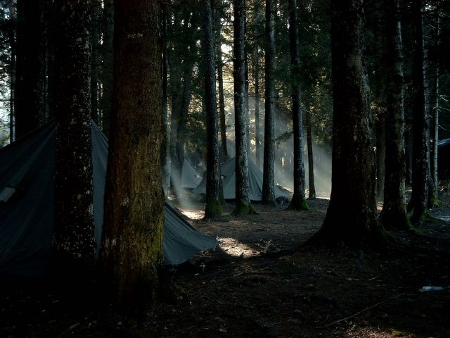 Bildgröße auf die Monitorauflösung (640x480 px) optimiert