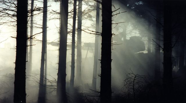 Bildgr&ouml;&szlig;e auf die Monitoraufl&ouml;sung (640x480 px) optimiert