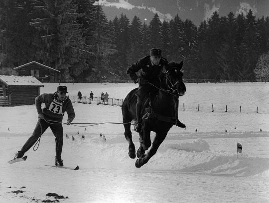 Bildgröße auf die Monitorauflösung (640x480 px) optimiert