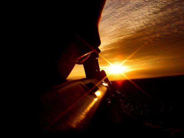 Bildgröße auf die Monitorauflösung (640x480 px) optimiert