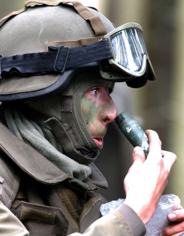 Bildgr&ouml;&szlig;e auf die Monitoraufl&ouml;sung (640x480 px) optimiert