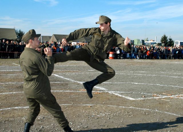 Bildgröße auf die Monitorauflösung (640x480 px) optimiert