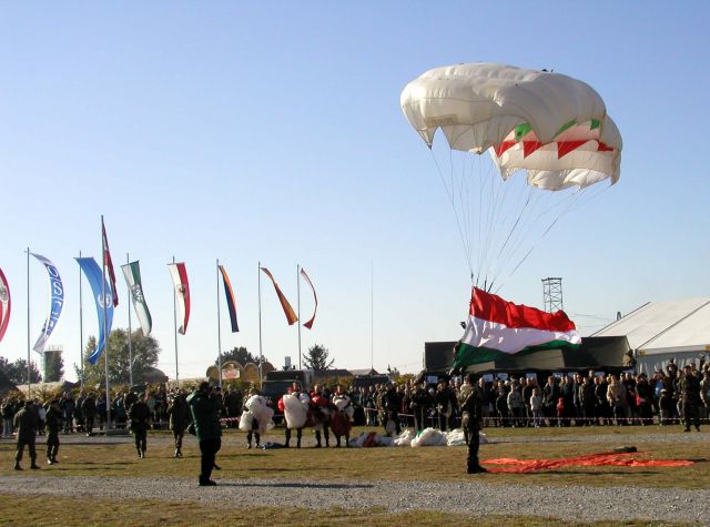 Bildgr&ouml;&szlig;e auf die Monitoraufl&ouml;sung (640x480 px) optimiert