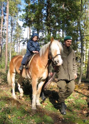 Bildgröße auf die Monitorauflösung (640x480 px) optimiert