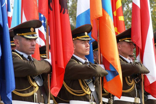 Bildgr&ouml;&szlig;e auf die Monitoraufl&ouml;sung (640x480 px) optimiert