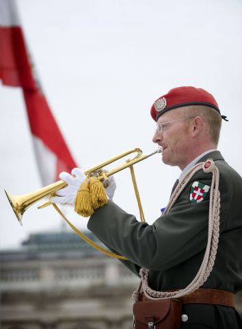 Bildgröße auf die Monitorauflösung (640x480 px) optimiert