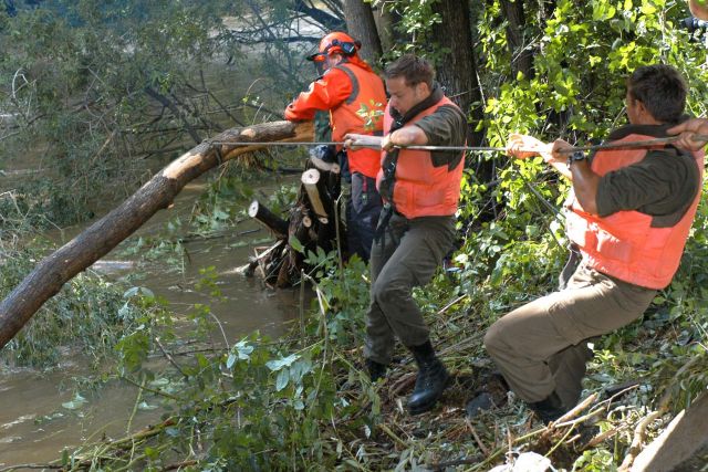 Bildgr&ouml;&szlig;e auf die Monitoraufl&ouml;sung (640x480 px) optimiert