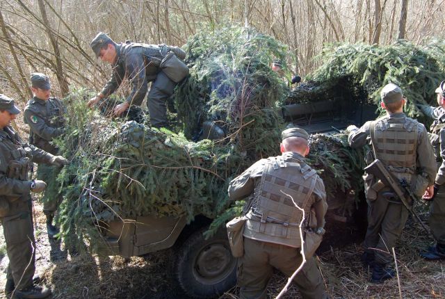 Bildname: glb_tf18_08.jpg, momentane Bildgröße: 640x430 px Bildgröße auf die Monitorauflösung (640x480 px) optimiert