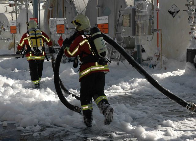 Bildgr&ouml;&szlig;e auf die Monitoraufl&ouml;sung (640x480 px) optimiert