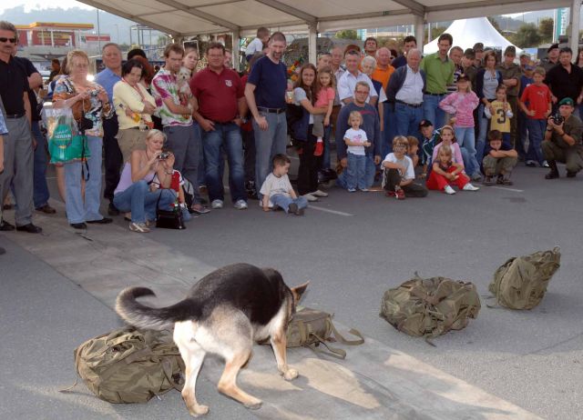 Bildgr&ouml;&szlig;e auf die Monitoraufl&ouml;sung (640x480 px) optimiert