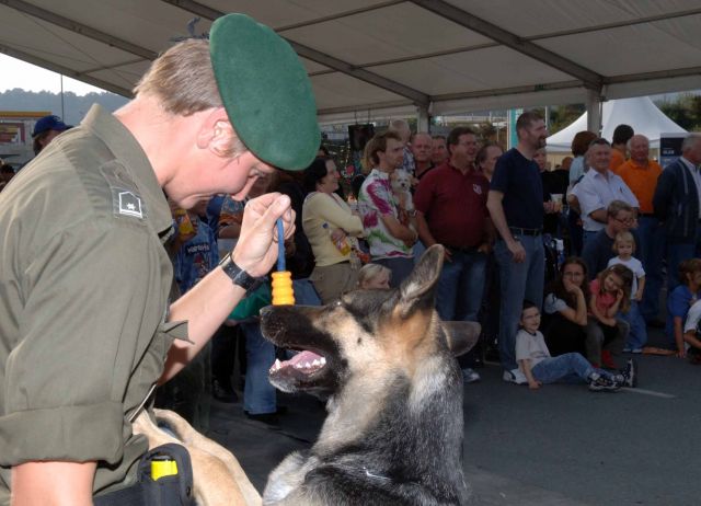 Bildgröße auf die Monitorauflösung (640x480 px) optimiert
