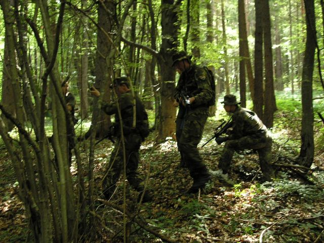 Bildgr&ouml;&szlig;e auf die Monitoraufl&ouml;sung (640x480 px) optimiert