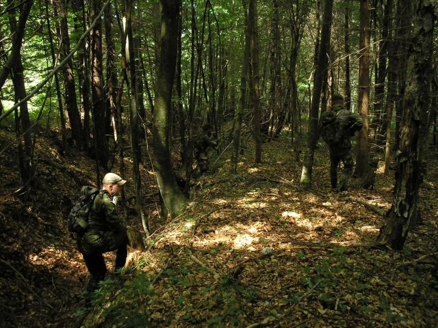 Bildgr&ouml;&szlig;e auf die Monitoraufl&ouml;sung (640x480 px) optimiert