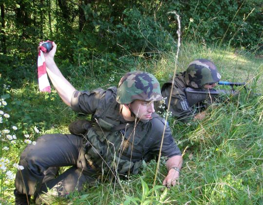 Bildgröße auf die Monitorauflösung (640x480 px) optimiert