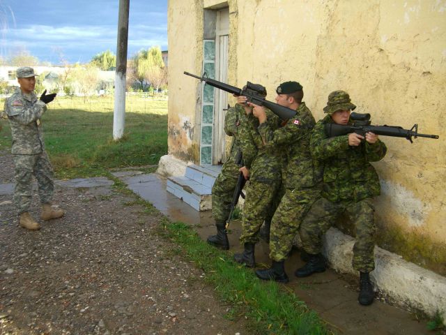 Bildgröße auf die Monitorauflösung (640x480 px) optimiert