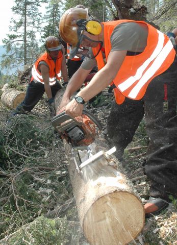 Bildgr&ouml;&szlig;e auf die Monitoraufl&ouml;sung (640x480 px) optimiert