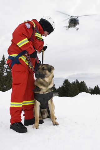 Bildgr&ouml;&szlig;e auf die Monitoraufl&ouml;sung (640x480 px) optimiert