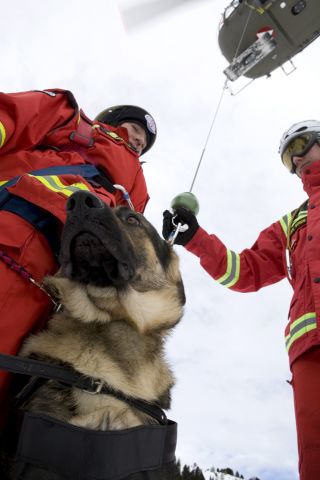 Bildgr&ouml;&szlig;e auf die Monitoraufl&ouml;sung (640x480 px) optimiert