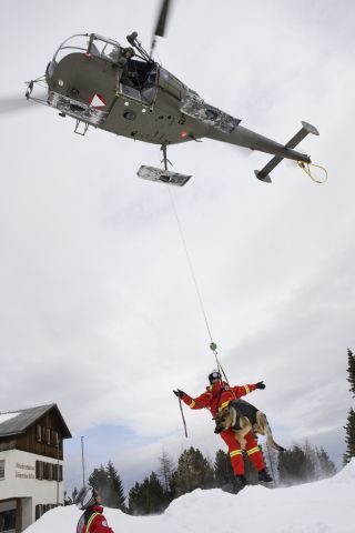 Bildgr&ouml;&szlig;e auf die Monitoraufl&ouml;sung (640x480 px) optimiert